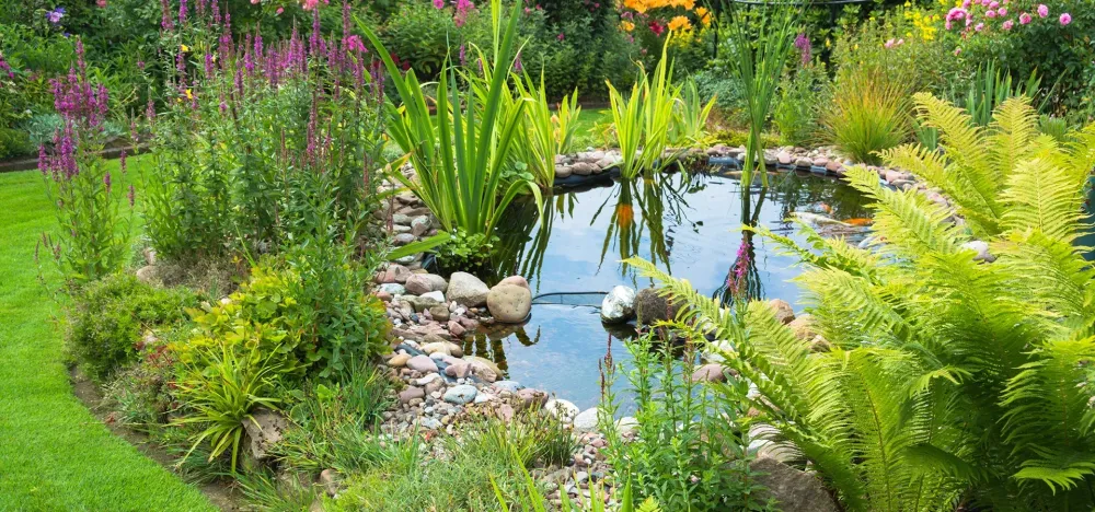 Nettoyage bassin à Marseille