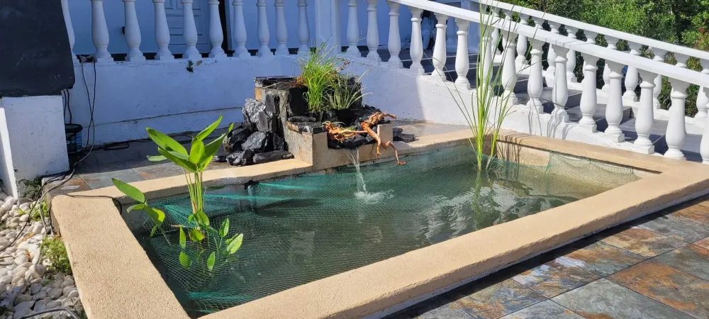 Bassin N°1 Apréwebp